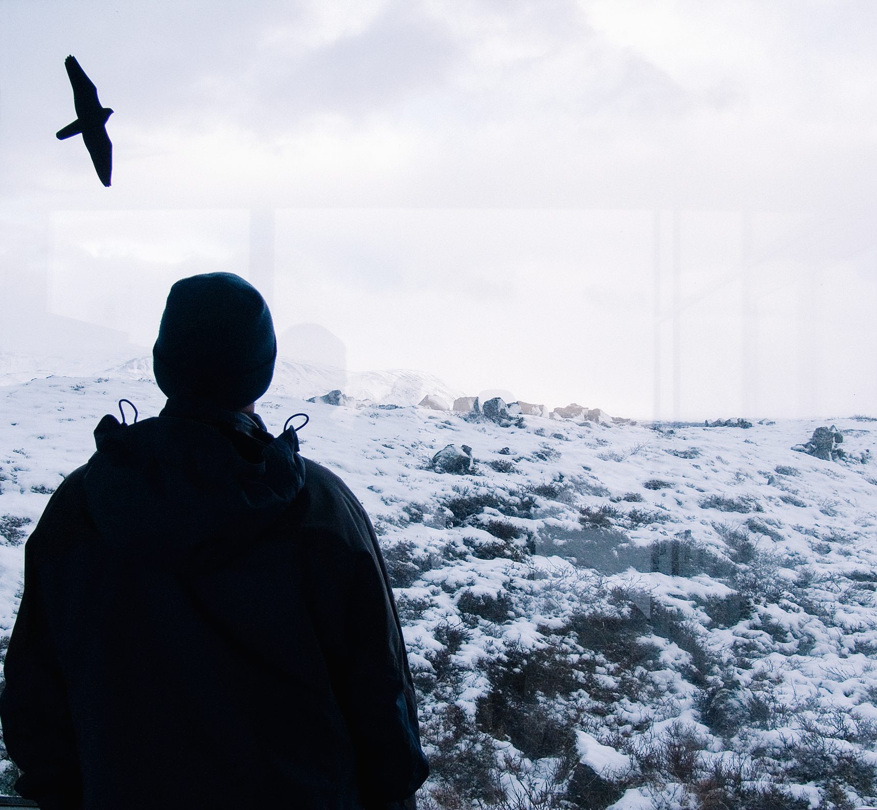 Iceland A Time for Dreaming